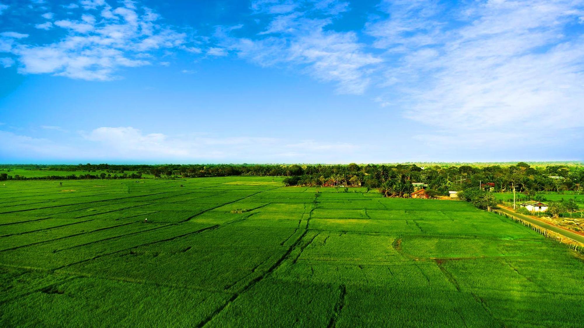 Avonil Resort Yala Тисамахарама Екстериор снимка